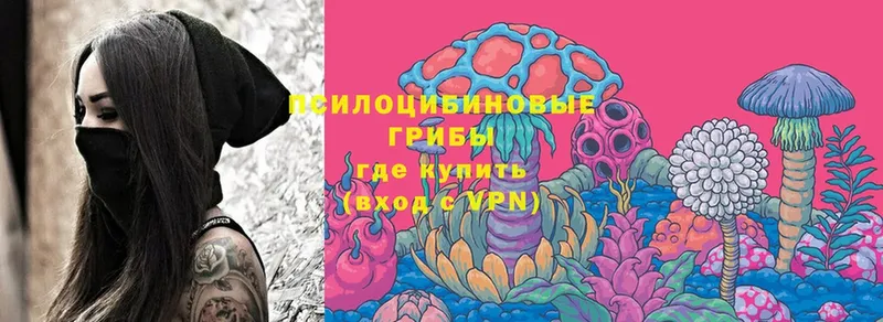 Псилоцибиновые грибы MAGIC MUSHROOMS  где продают наркотики  Одинцово 